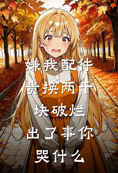 嫌我配件贵换两千块破烂，出了事你哭什么