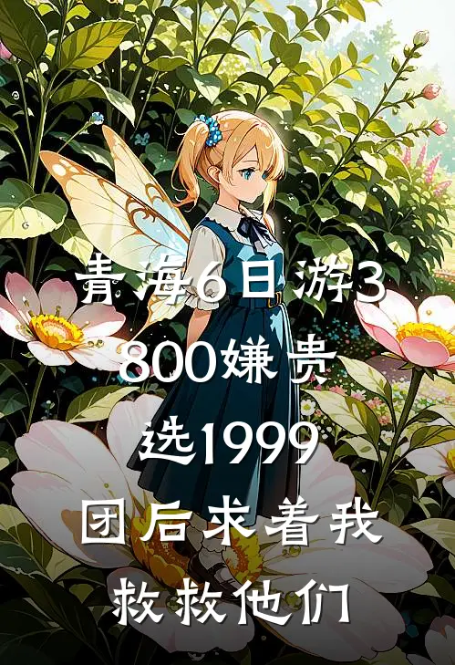 青海6日游3800嫌贵，选1999团后求着我救救他们
