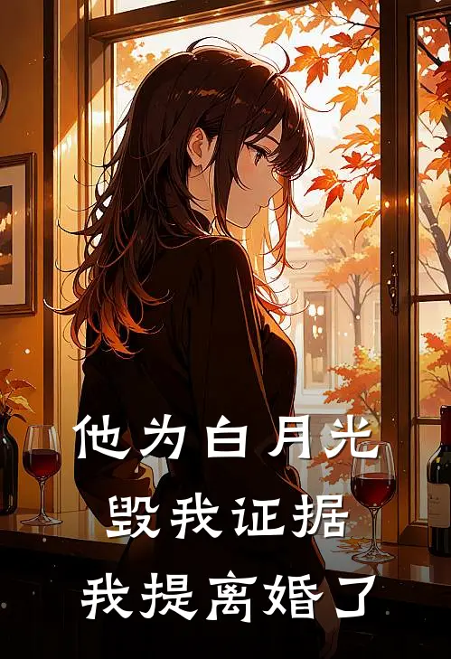 他为白月光毁我证据，我提离婚了