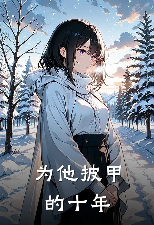 为他披甲的十年