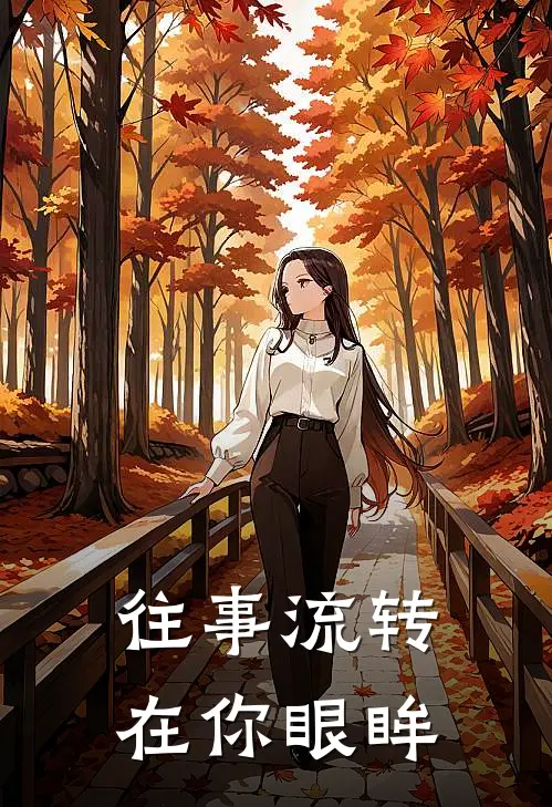 往事流转在你眼眸