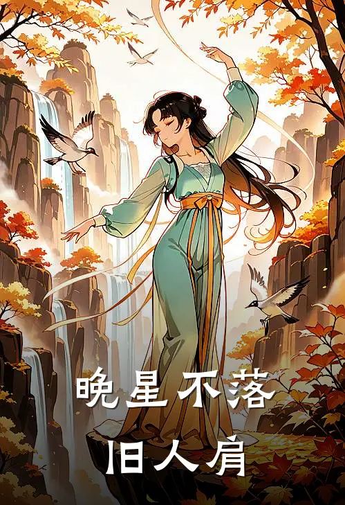 晚星不落旧人肩