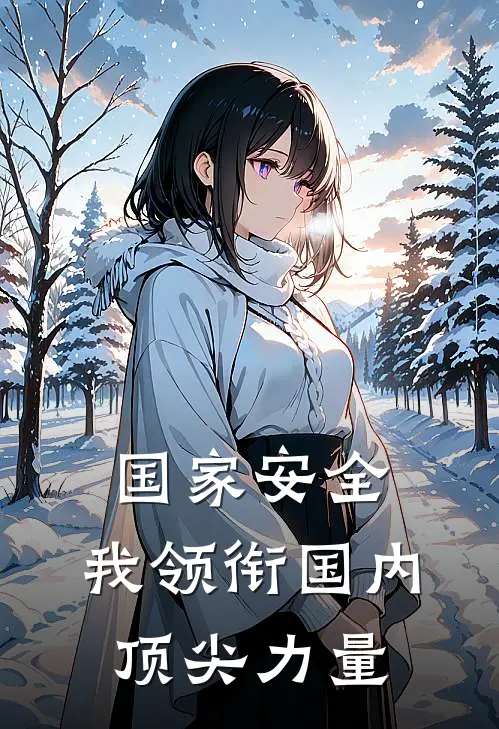 国家安全：我领衔国内顶尖力量
