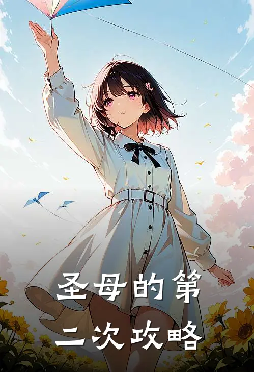 圣母的第二次攻略