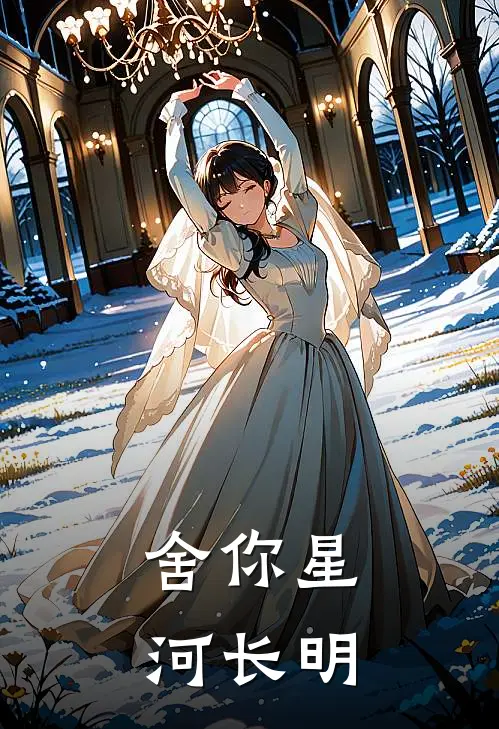舍你星河长明
