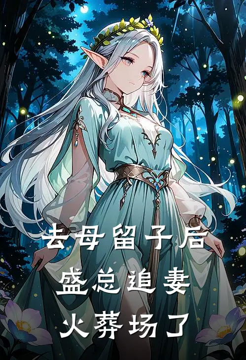 去母留子后，盛总追妻火葬场了