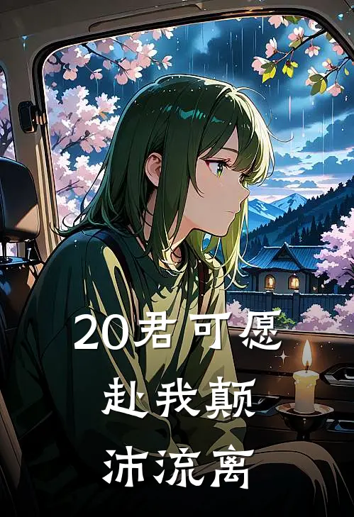 20君可愿，赴我颠沛流离