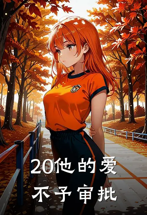 20他的爱，不予审批