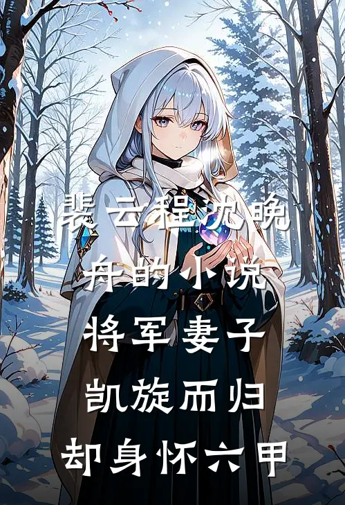 裴云程沈晚舟的小说将军妻子凯旋而归，却身怀六甲