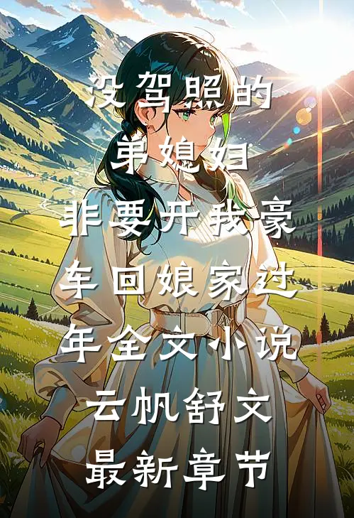 没驾照的弟媳妇，非要开我豪车回娘家过年全文小说云帆舒文最新章节