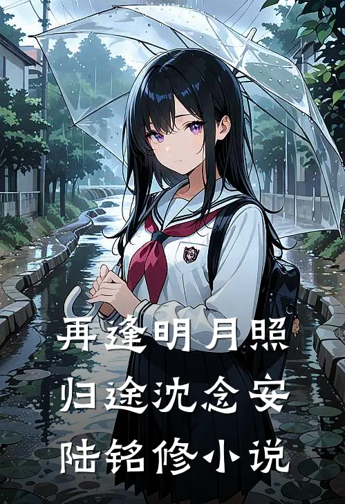 再逢明月照归途沈念安陆铭修小说