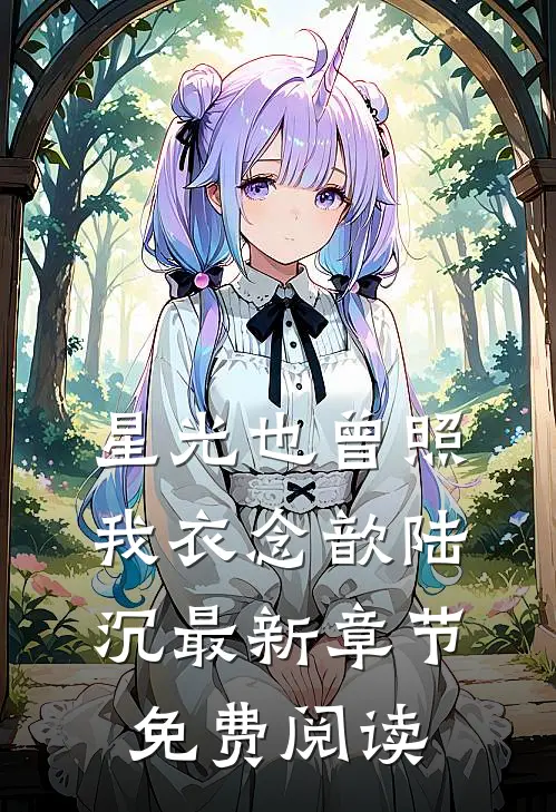 星光也曾照我衣念歆陆沉最新章节免费阅读