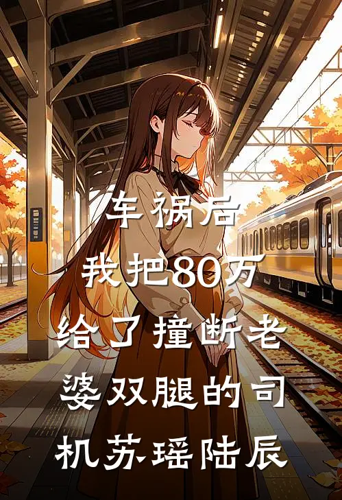 车祸后，我把80万给了撞断老婆双腿的司机苏瑶陆辰