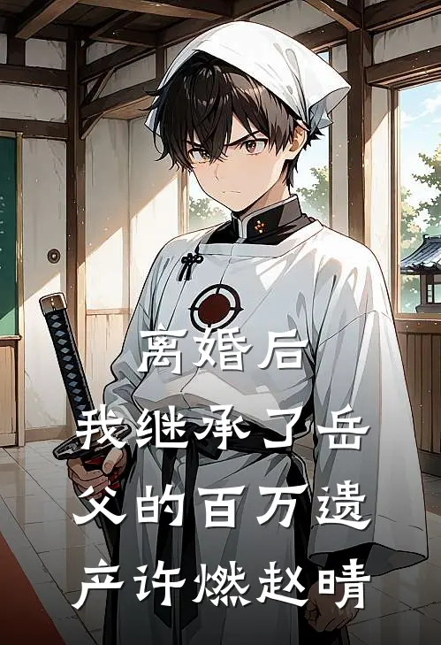 离婚后，我继承了岳父的百万遗产许燃赵晴
