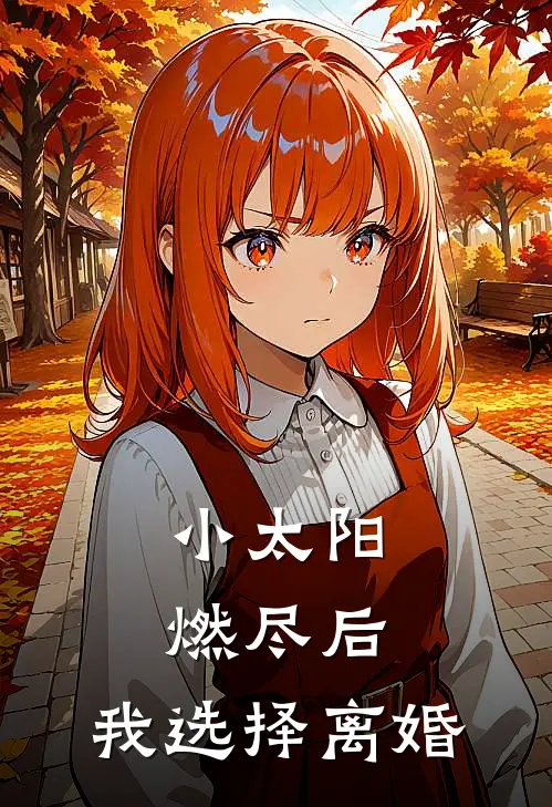 小太阳燃尽后，我选择离婚